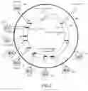 Fig. 04 - Information infrastructure management tools with extractor, secure storage, content analysis and classification and method therefor