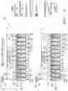 Fig. 02 - TERTIARY SEPARATION OF ALLULOSE FROM CORN SYRUP USING CHROMATOGRAPHY