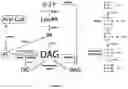 Fig. 02 - PROCESSES FOR PRODUCING HYDROCARBON PRODUCTS