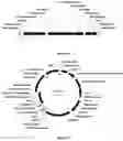 Fig. 17 - PROCESSES FOR PRODUCING HYDROCARBON PRODUCTS