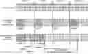 Fig. 01 - TERMINAL, RADIO COMMUNICATION METHOD, AND BASE STATION