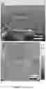 Fig. 04 - ORGANOSILICA MEMBRANES, METHODS OF MAKING SAME, AND USES THEREOF