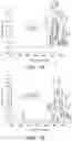 Fig. 02 - Composite poly (aryl ether ketone) membranes, their preparation and use thereof