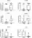Fig. 01 - CLASSIFIERS FOR DETECTION OF ENDOMETRIOSIS