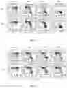 Fig. 02 - ENGINEERED T CELL, PREPARATION THEREFOR AND USE THEREOF