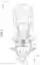 Fig. 03 - SADDLE-RIDE VEHICLE