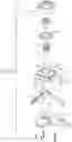 Fig. 09 - System for dispensing liquid from inverted container