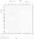 Fig. 02 - DISPLAY PANEL AND DISPLAY APPARATUS