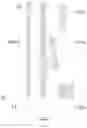Fig. 08 - DISPLAY PANEL AND DISPLAY APPARATUS