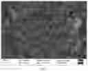 Fig. 02 - PREPARATION METHOD OF HIGH-SAFETY HIGH-CAPACITY LITHIUM MANGANESE IRON PHOSPHATE