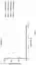 Fig. 07 - ISOINDOLINE DERIVATIVES WHICH BIND TO AN ATP BINDING SITE