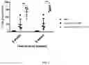 Fig. 09 - A PROCESS FOR PRODUCING A PLURALITY OF SUMOYLATION TARGET-SITE MODIFIED AAV VECTOR AND PRODUCT THEREOF