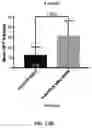 Fig. 17 - A PROCESS FOR PRODUCING A PLURALITY OF SUMOYLATION TARGET-SITE MODIFIED AAV VECTOR AND PRODUCT THEREOF