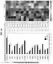 Fig. 02 - TARGETING PAR1 AND PAR2 TO REGULATE LIPID AND CHOLESTEROL ABUNDANCE
