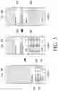 Fig. 06 - Electronic device for providing a plurality of user interfaces to select data and method of operating the same