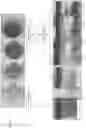 Fig. 02 - Color-Fast Edible Compositions and Methods of Producing Same