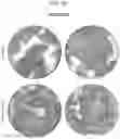 Fig. 07 - Color-Fast Edible Compositions and Methods of Producing Same