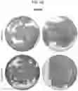 Fig. 08 - Color-Fast Edible Compositions and Methods of Producing Same