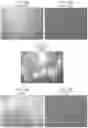 Fig. 12 - Color-Fast Edible Compositions and Methods of Producing Same