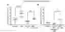 Fig. 16 - ABT-751 AND IONIZING RADIATION