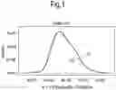 Fig. 02 - DETERMINING SUBTYPES OF SCHIZOPHRENIA IN A SUBJECT, TREATMENT OF SCHIZOPHRENIA, MEDICAMENT FOR TREATING SCHIZOPHRENIA AND DETERMINING THE EFFICACY OF SUCH MEDICATION