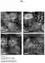 Fig. 07 - PHASE SEPARATION SENSORS AND USES THEREOF