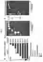 Fig. 08 - PHASE SEPARATION SENSORS AND USES THEREOF