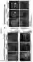 Fig. 35 - PHASE SEPARATION SENSORS AND USES THEREOF