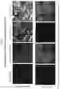 Fig. 43 - PHASE SEPARATION SENSORS AND USES THEREOF