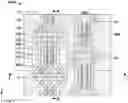 Fig. 01 - 3D NOR type memory array with wider source/drain conductive lines