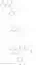 Fig. 1207 - CARBOXAMIDES AS MODULATORS OF SODIUM CHANNELS