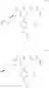 Fig. 1225 - CARBOXAMIDES AS MODULATORS OF SODIUM CHANNELS