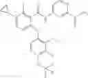 Fig. 251 - CARBOXAMIDES AS MODULATORS OF SODIUM CHANNELS