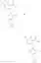 Fig. 872 - CARBOXAMIDES AS MODULATORS OF SODIUM CHANNELS