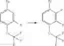 Fig. 955 - CARBOXAMIDES AS MODULATORS OF SODIUM CHANNELS