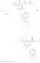 Fig. 958 - CARBOXAMIDES AS MODULATORS OF SODIUM CHANNELS