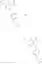 Fig. 960 - CARBOXAMIDES AS MODULATORS OF SODIUM CHANNELS