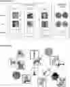 Fig. 01 - Learning method and processing apparatus regarding machine learning model classifying input image