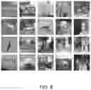 Fig. 09 - Learning method and processing apparatus regarding machine learning model classifying input image