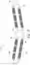 Fig. 06 - Articulated roller assembly for bent bar