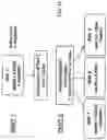 Fig. 23 - Methods for Treating Metastatic Pancreatic Cancer Using Combination Therapies Comprising Liposomal Irinotecan and Oxaliplatin
