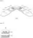 Fig. 02 - SHOE INSOLE APPARATUS CAPABLE OF BUFFERING AND MASSAGING