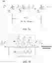 Fig. 09 - APPARATUS AND METHOD FOR ELECTROCARDIOGRAM (