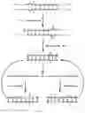 Fig. 02 - METHODS AND KITS FOR AMPLIFICATION AND DETECTION OF NUCLEIC ACIDS