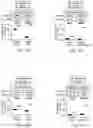 Fig. 07 - METHODS FOR ROBUST DESIGN OF MODULAR REPRESSORS