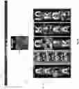 Fig. 06 - Enhanced electronic gaming machines providing selectively volatile wager outcomes