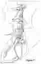 Fig. 02 - Selective Stimulation of Peripheral Nerves