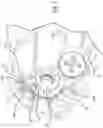 Fig. 08 - OFFSET TRANSFER CASE PUMP WITH LUBRICATION DISTRIBUTION SYSTEM