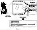 Fig. 02 - Nitro-Fatty Acid-Containing Microbubbles and Uses Therefor