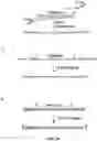Fig. 07 - High Throughput Cell-Based Screening for Aptamers